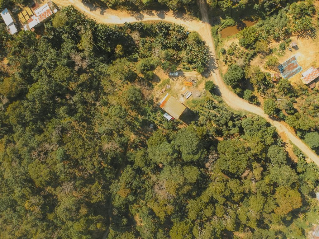 Vista aérea de la finca de Vicopex en Caranavi
