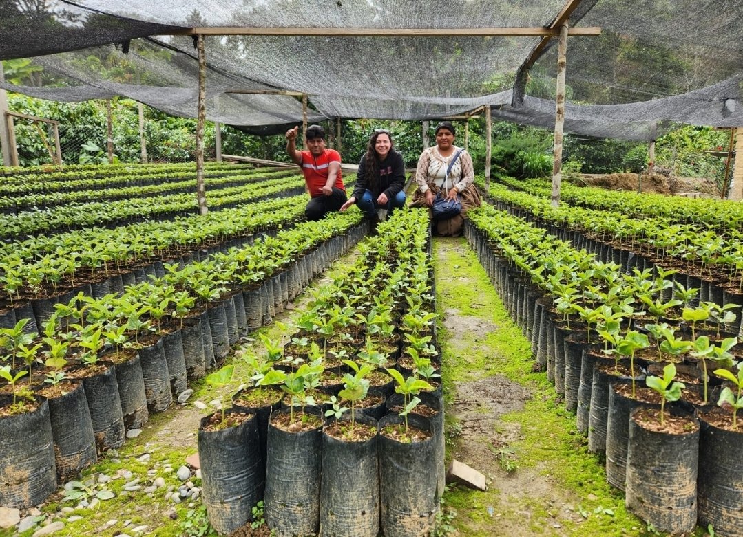 VICOPEX lleva el café de especialidad orgánico de los Yungas a ExpoCafé Chile 2025